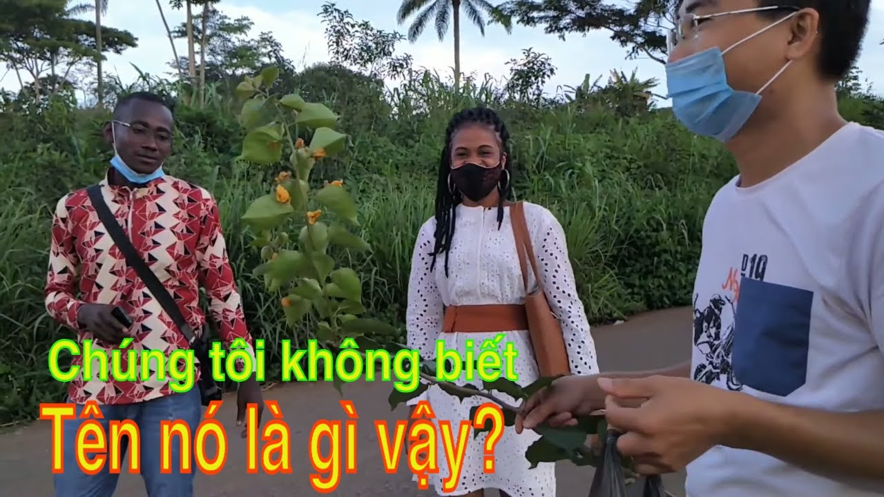 Phỏng vấn người dân về loài hoa nổi tiếng với mọi người Việt