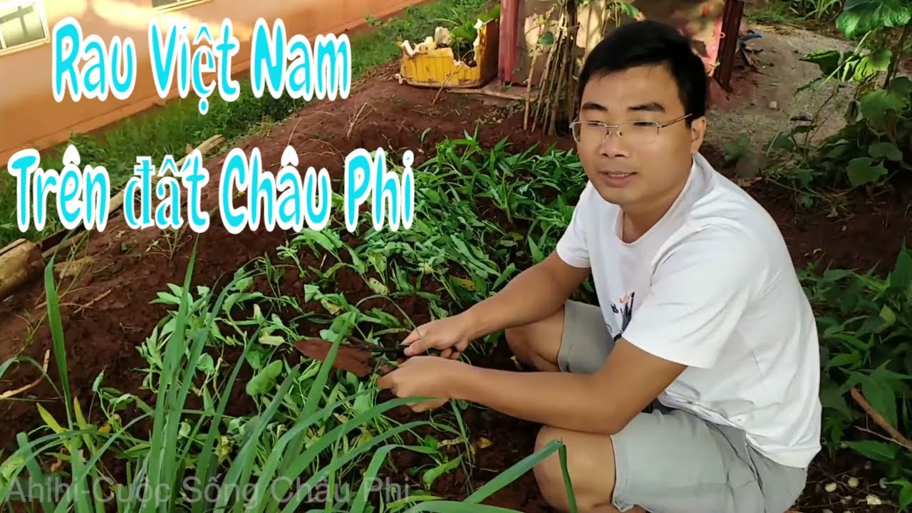 Thành quả Vườn rau Việt Nam ở Châu Phi
