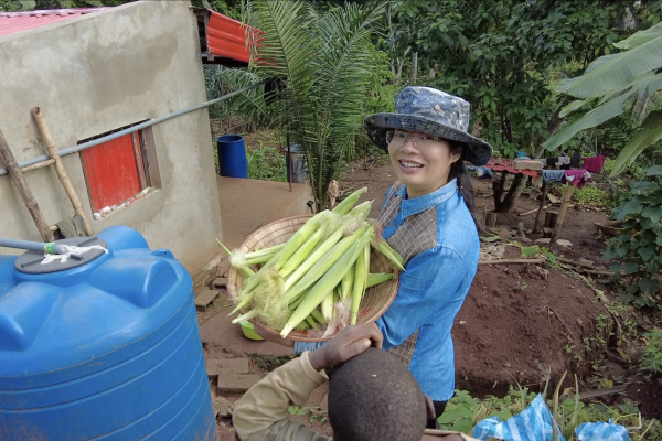 Ngô Non châu Phi